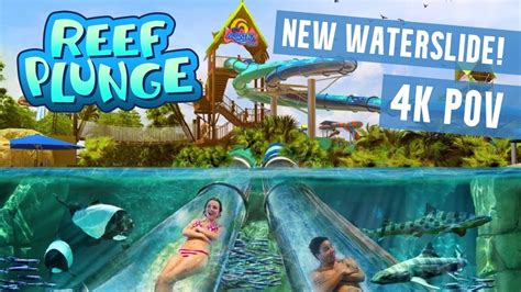 New Reef Plunge Water Slide POV At Aquatica Orlando SeaWorld S Water