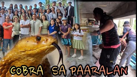 Cobra Ang Hahadlang Sa Pangarap Ng Mga Estudyante Cobraking