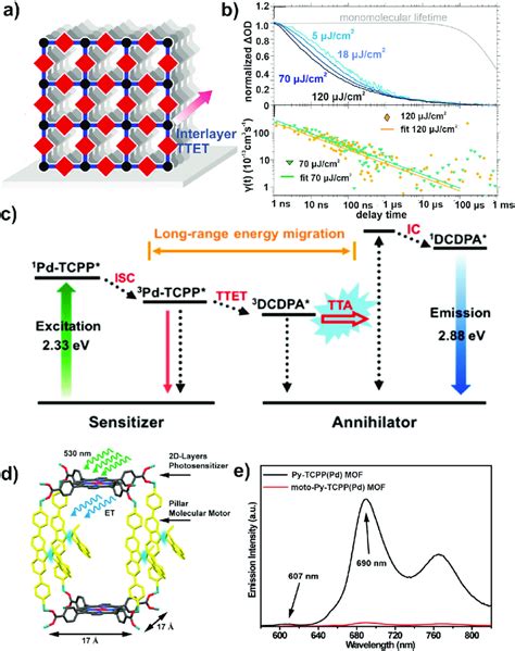 Exciton Migration And Other Photophysical Processes Within Triplet Download Scientific Diagram