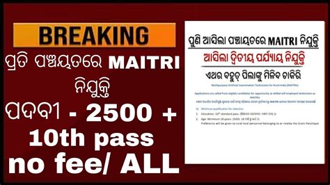 Odisha Panchayat Maitri New Job Panchayat Level New Job 10th Job