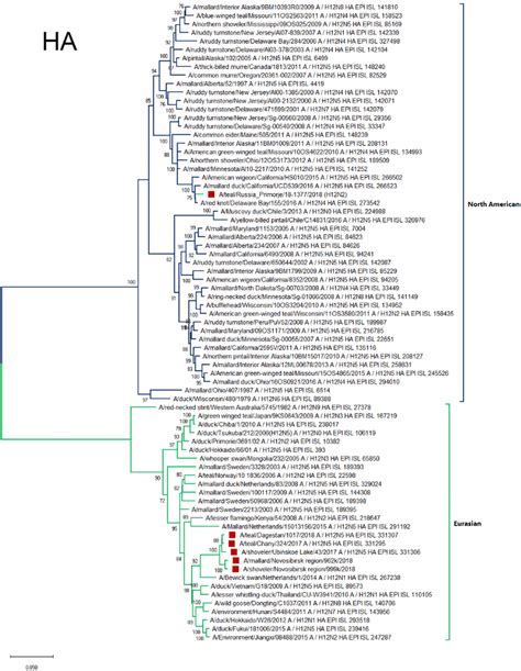 Phylogenetic Tree Of The Hemagglutinin HA Gene Of Avian Influenza