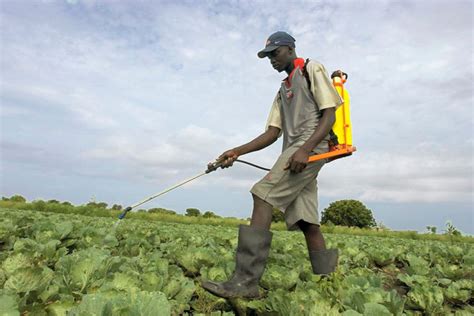 Togo Un Projet Ambitieux Pour Une Gestion Responsable Des Pesticides