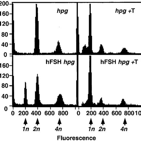 Flow Cytometry Analysis Of Dna Ploidy Of Total Testis Cells Histograms