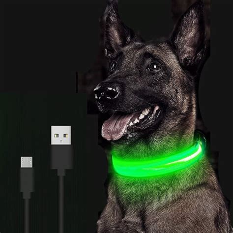 Dropship LED Glowing Dog Collar Rechargeable Luminous Collar Adjustable ...