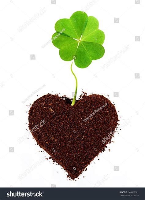 Four Leaf Clover Isolated In Ground Heart Shape Stock Photo 148969181