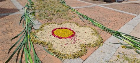 Las Espectaculares Alfombras Florales De Serradilla Del Arroyo Para