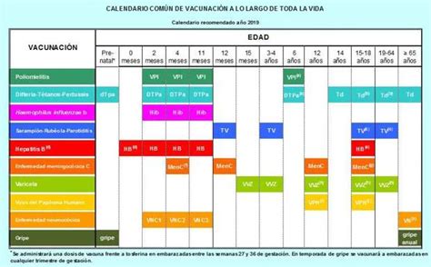 Gobierno Y Comunidades Pactan Un Calendario Vacunal Para Toda La Vida