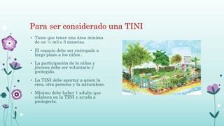 Metodologia Tini Ppt Descarga Gratuita