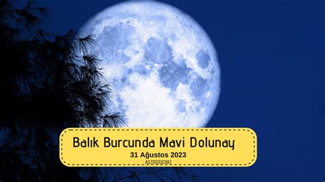 Bal K Burcunda Sat Rnyen Mavi Dolunay