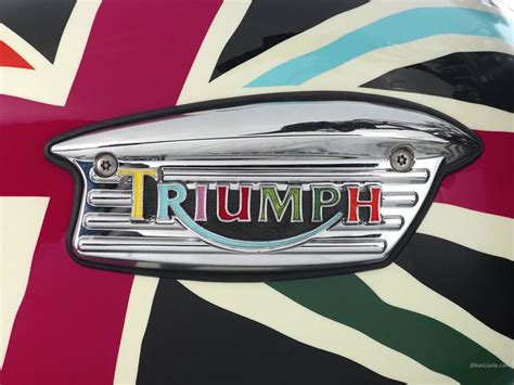 Colorful Triumph tank badge by Paul Smith