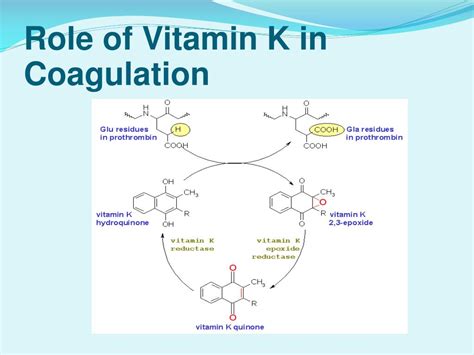 PPT Prothrombin Time And Coagulation Time PowerPoint Presentation