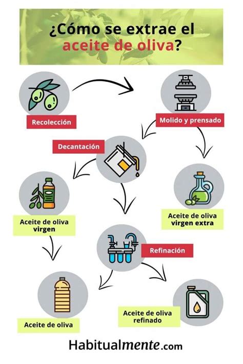 Como Se Hace El Aceite De Oliva