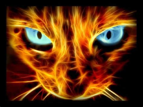 Awesome Fire cat - Club of Awesomeness Photo (36943149) - Fanpop