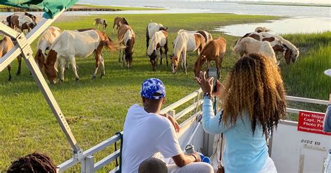 Chincoteague Boottocht Op Het Eiland Assateague Bij Zonsondergang