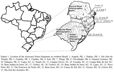SciELO Brasil - Floristic composition and phytogeography of the tree ... 