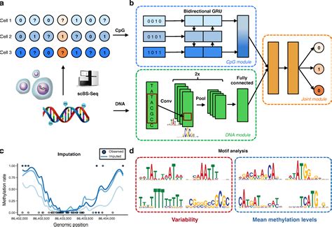 Deepcpg Accurate Prediction Of Single Cell Dna Methylation States