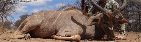 Sadaka Safaris Trophy Hunting Safaris In South Africa