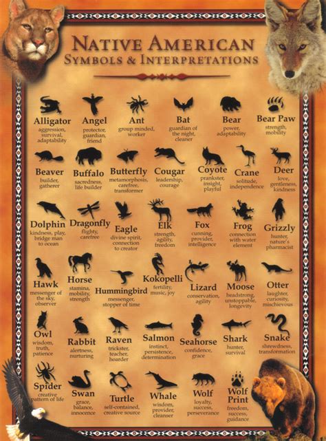 DonTom Inc Native American Symbols Interpretations Post Card