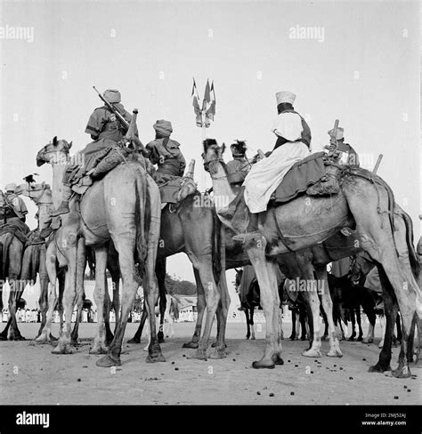 African Camel Corps Troops Form Part Of The Garrison Of A Fighting