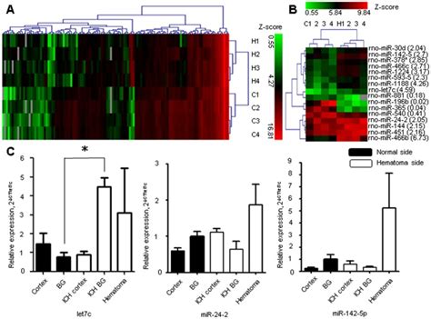 The Heat Map Shows The MicroRNA MiRNA Expression Pattern From The