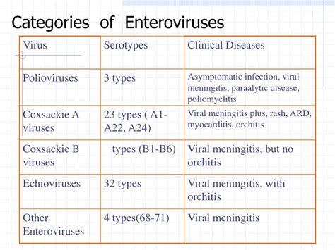 Ppt Enteroviruses Powerpoint Presentation Free Download Id391959