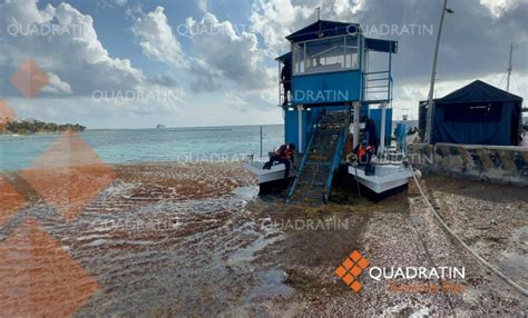 Ha Recolectado Semar Toneladas De Sargazo En Quintana Roo