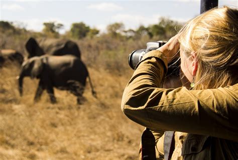 Saf Ris Fotogr Ficos Na Frica Safari Brasil Safari Na Africa