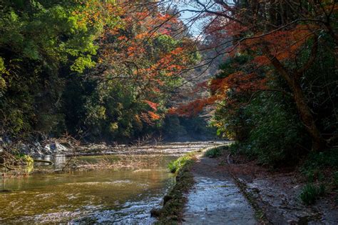 養老渓谷 関東一遅い紅葉の渓谷と、地磁気逆転期地層チバニアン 週末は山を目指す