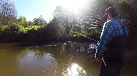 Betsie River Salmon On The Fly Youtube