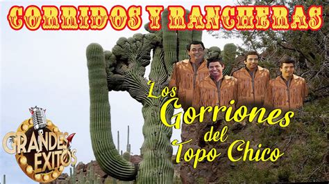 Los Gorriones Del Topo Chico Mix Exitos Polkas Y Rancheras Famosas 20