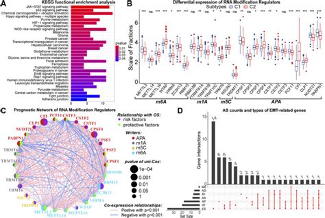 Identification Of Emt Related Genes And Prognostic Signature With