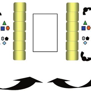 Dual mechanisms of TLR activation leading to mucosal inflammation.... | Download Scientific Diagram