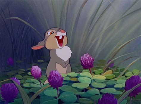 Disney News Disney Thumper Disney Disney Pictures Bambi Disney