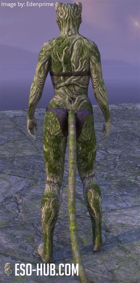 Barkroot Blessing ESO Hub Elder Scrolls Online