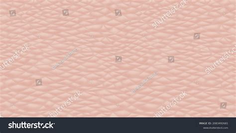 Skin Texture Tone Images Stock Photos Vectors Shutterstock