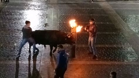 Festejos Taurinos En Almacera 2024 2 Toros Embolados De Miguel Parejo