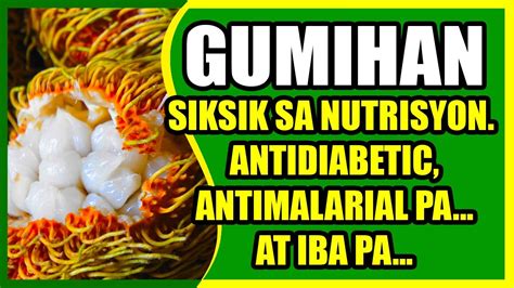 Amazing Gumihan Full Of Nutrients Anti Diabetic And More