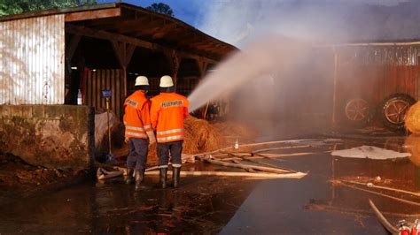 Verheerendes Feuer In Der B Rde Lamstedt Geh Ft Zerst Rt Rinder