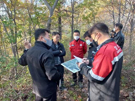 동부지방산림청 삼척소나무재선충병 피해지 현장점검 실시