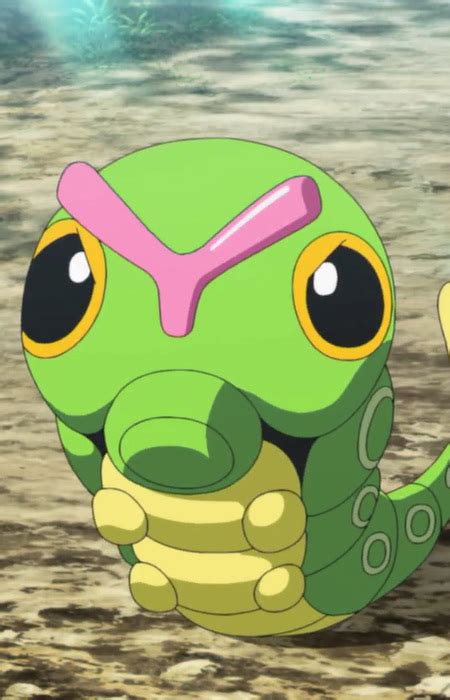 Caterpie Pokemon Pictures MyAnimeList Net