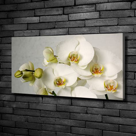 Leinwandbild Kunst Druck X Bilder Blumen Pflanzen Wei E Orchidee