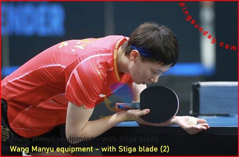 Wang Manyu Equipment Updated Pingsunday