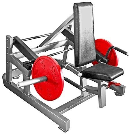 Muscle D Power Leverage Line Dip Tricep Machine New Expert Fitness