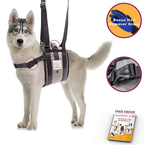 Veterinarian Approved Dog Support Harness Hair Remover Glove Dogs