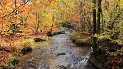 North Country National Scenic Trail, MI - National Park Trust