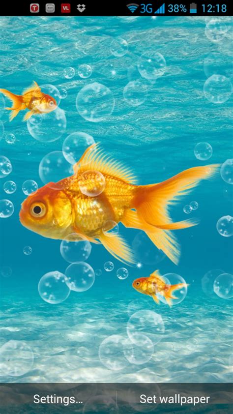 Gold Fish Live Wallpaper APK for Android - Download