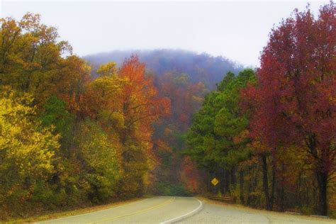 Talimena Scenic Drive The Ultimate Fall Attraction The Vale Magazine