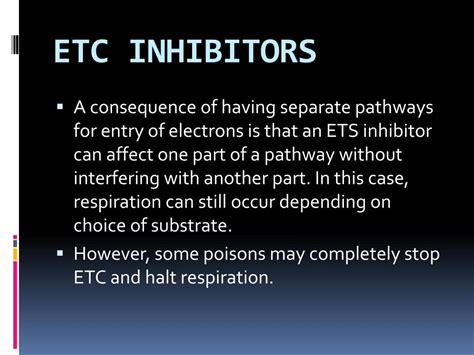 Ppt Electron Transport Chain Powerpoint Presentation Free Download