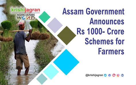 Assam Government Announces Rs 1000- Crore Schemes for Farmers