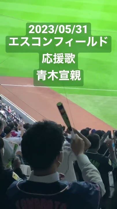 【応援歌】青木宣親東京ヤクルトスワローズ セリーグ プロ野球 明治神宮球場 東京ヤクルトスワローズ 声出し応援 応援歌 応援